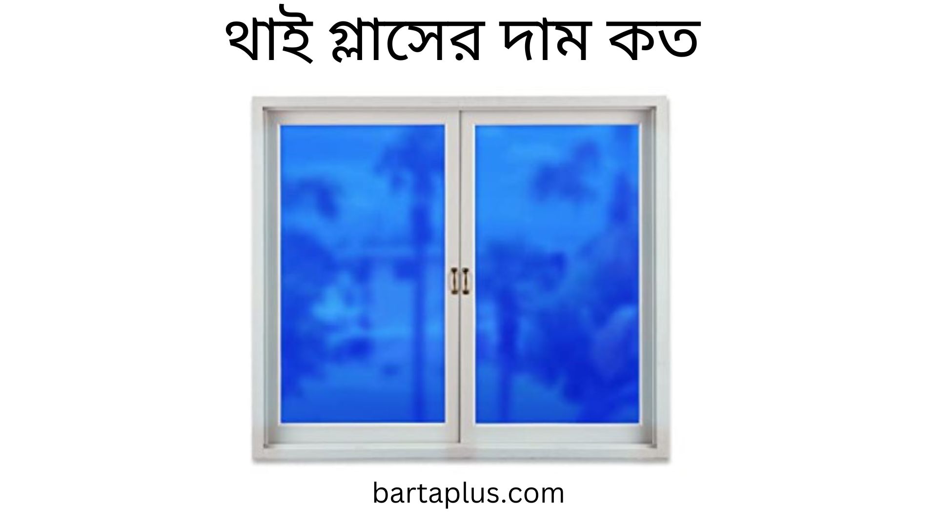 থাই গ্লাসের দাম কত